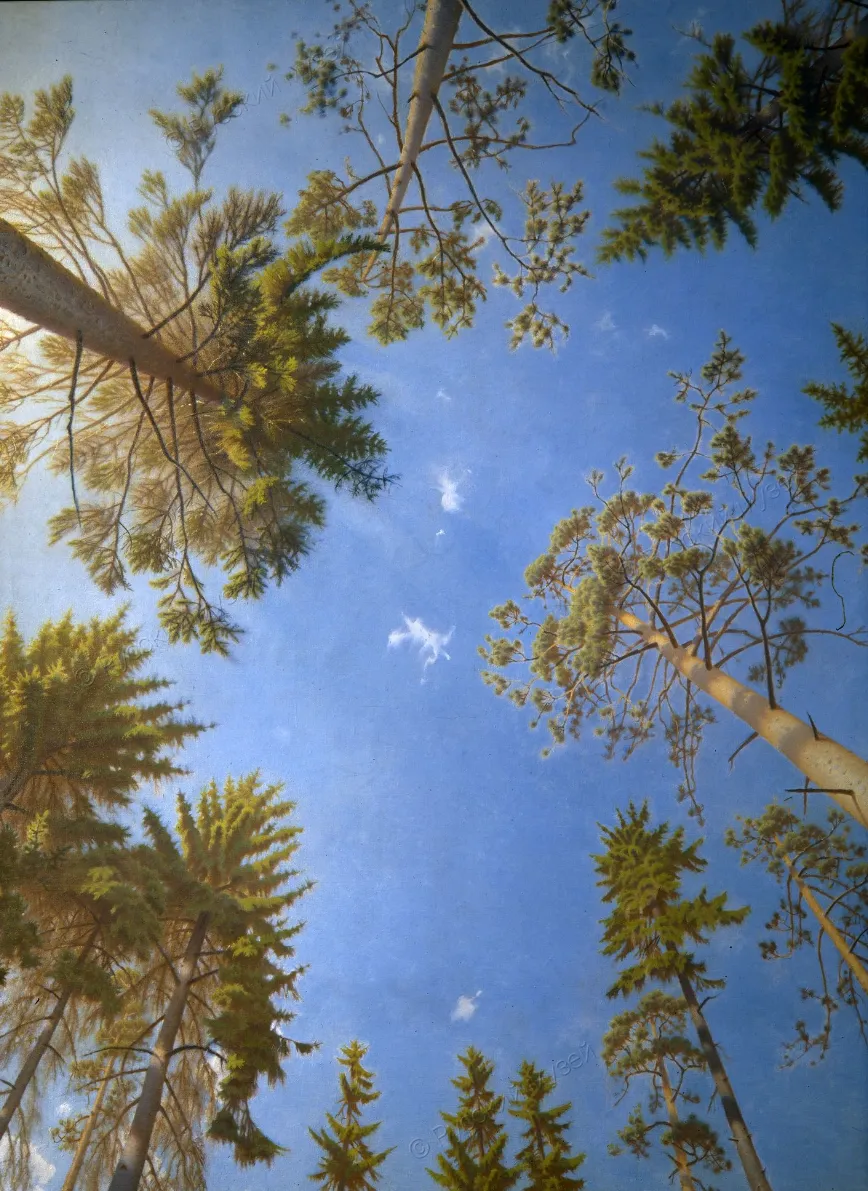 Тающие облака